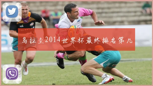 乌拉圭2014世界杯最终排名第几