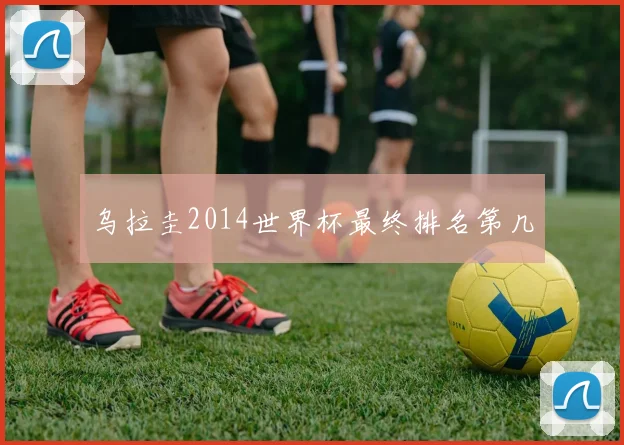 乌拉圭2014世界杯最终排名第几