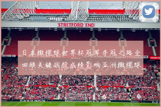 日本橄榄球世界杯冠军夺冠之路全回顾关键战役成绩影响亚洲橄榄球发展