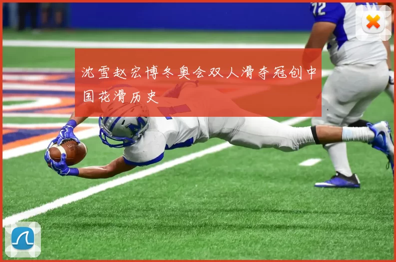 沈雪赵宏博冬奥会双人滑夺冠创中国花滑历史